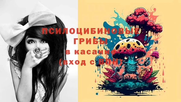 ГАЛЛЮЦИНОГЕННЫЕ ГРИБЫ Медногорск