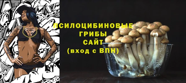 ГАЛЛЮЦИНОГЕННЫЕ ГРИБЫ Медногорск