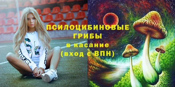 ECSTASY Мегион
