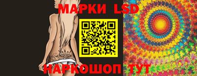 apvp Камышлов