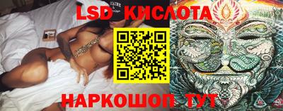 гидра Кандалакша