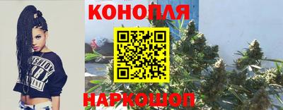 Альфа ПВП Абакан