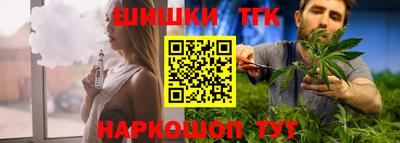 apvp Камышлов