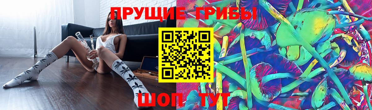 Галлюциногенные грибы прущие грибы  Вход с VPN  Галлюциногенные грибы Magic Shrooms  Урюпинск 